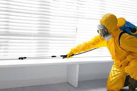 Best Fumigation Services  in Borger, TX